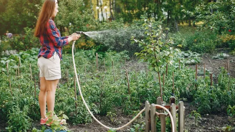 How to choose the right air hose reel swivel fitting