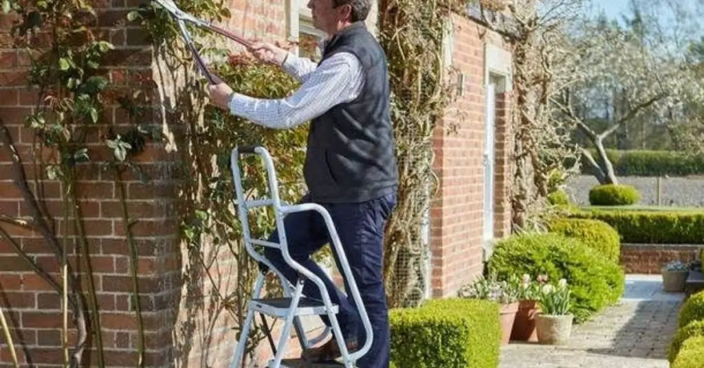 safe ladders for seniors