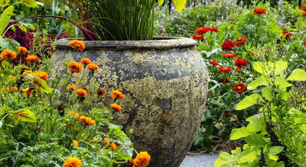 Backyard with modern landscaping ideas using stone pathways 