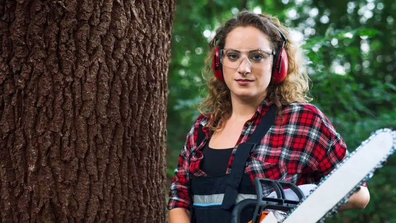 main factors that affect tree trimming cost