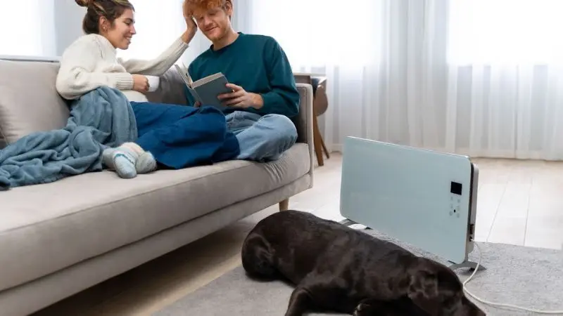 How to choose the right fuel for your home heater