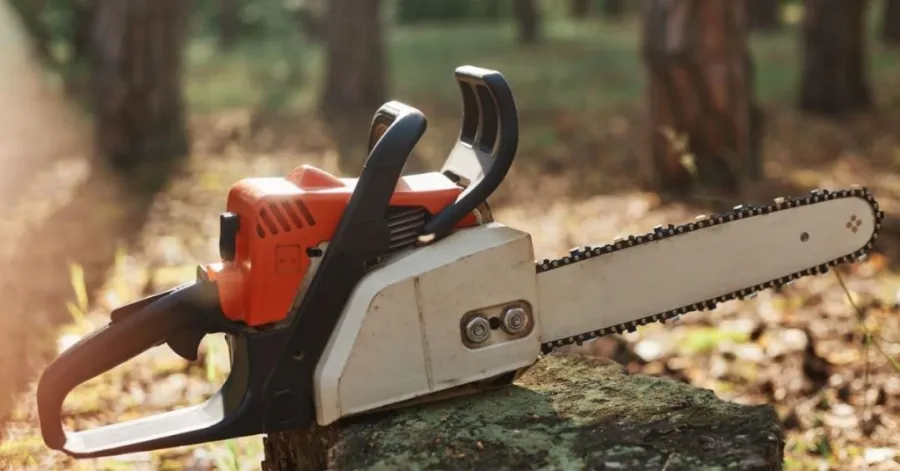 inexpensive gas chainsaw