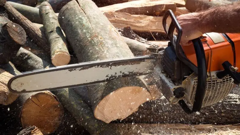 inexpensive gas chainsaw reviews