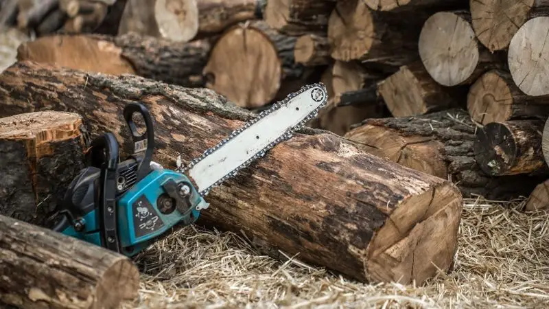 essential chainsaw safety tips for homeowners
