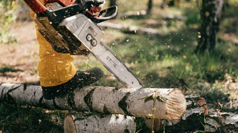  top gas chainsaw reviewed in 2025