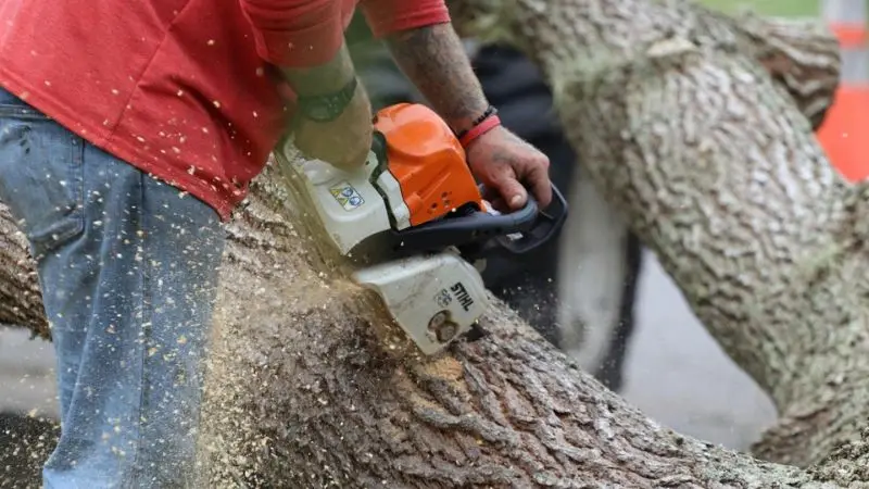 What is a gas chainsaw