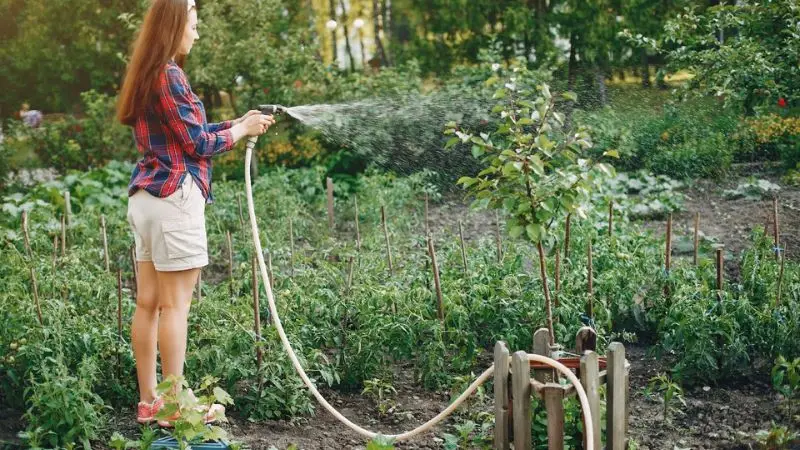  top benefits of using an automatic garden hose reel
