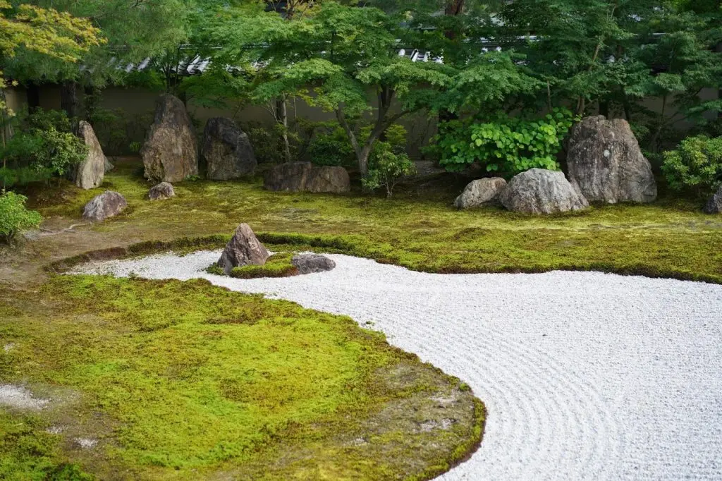 rock garden