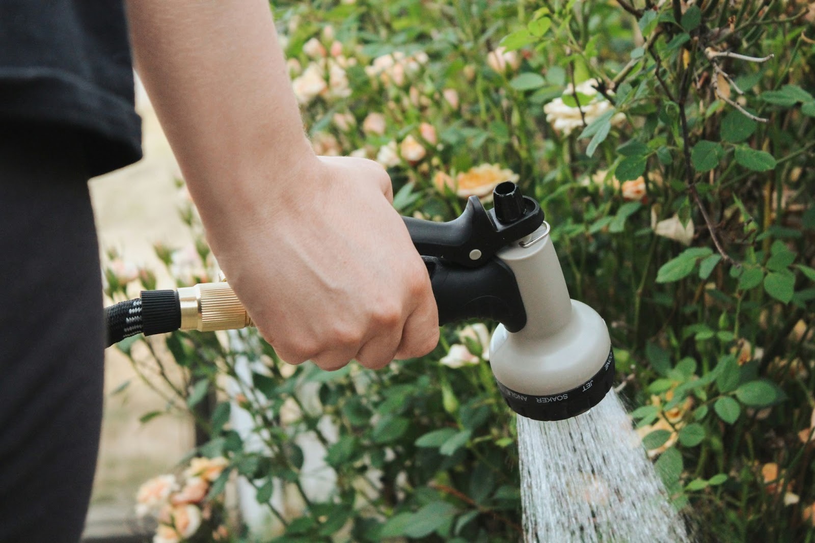 Filtered vs Distilled Water for Plants: What's the Difference? - VEVOR Blog
