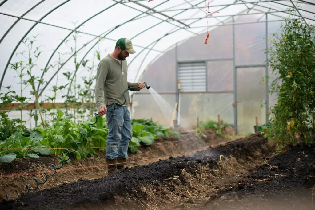 Man watering plants in a greenhouse