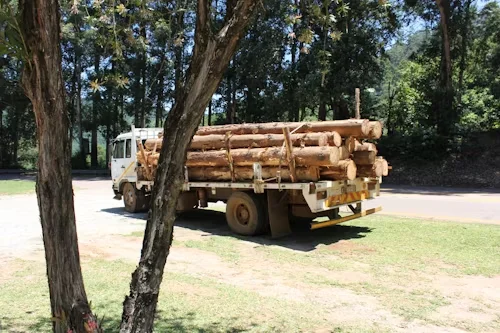 Stacking of logs