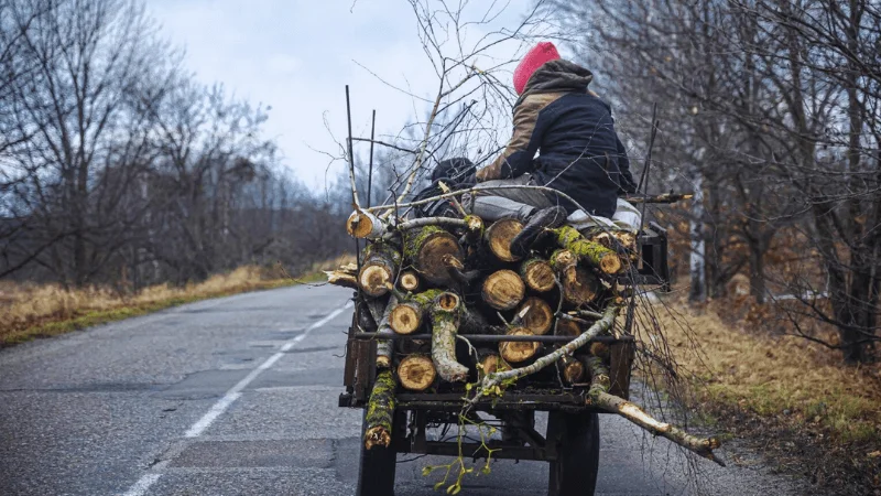 ATV Trailer being used to haul wooden logs and branches