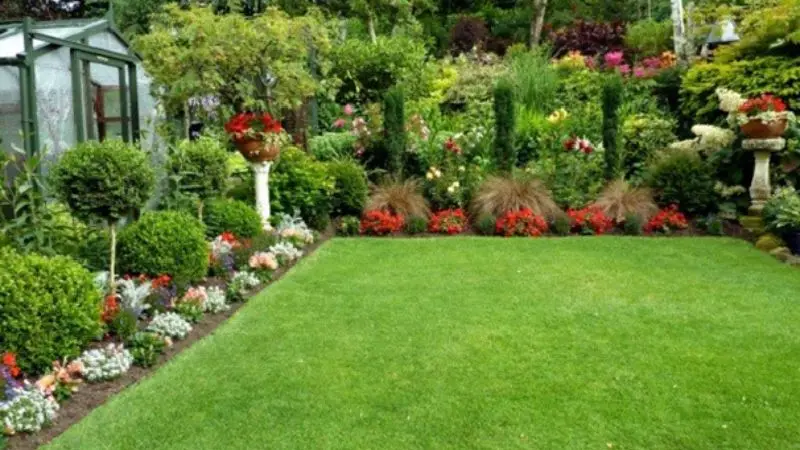 prevent mushrooms from returning 