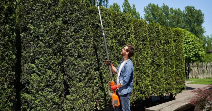 how to use a hedge trimmer