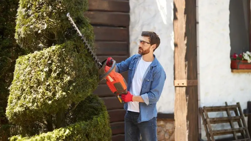 cordless hedge trimmer

