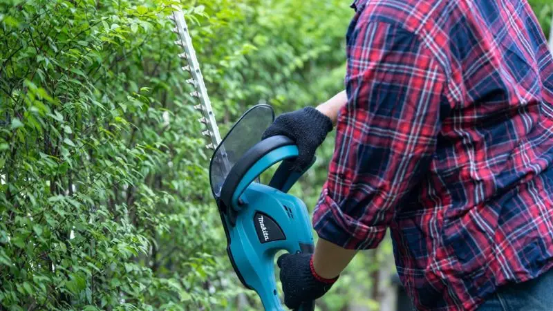 common mistakes to avoid when using a hedge trimmer
