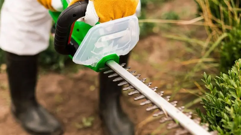  How to maintain a hedge trimmer at home