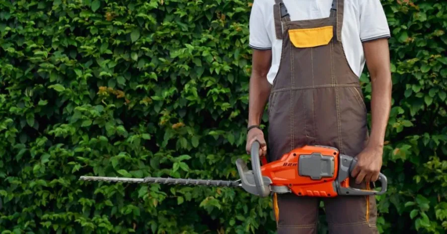 what is a hedge trimmer