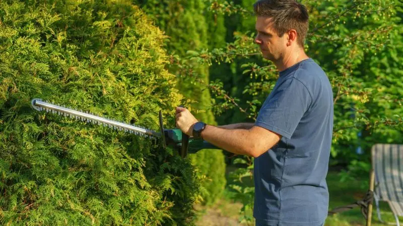 main functions of a hedge trimmer