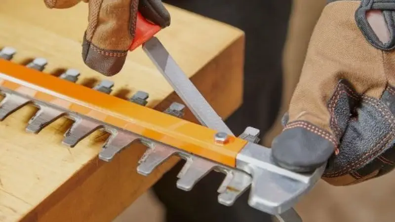 tools needed to sharpen a hedge trimmer
