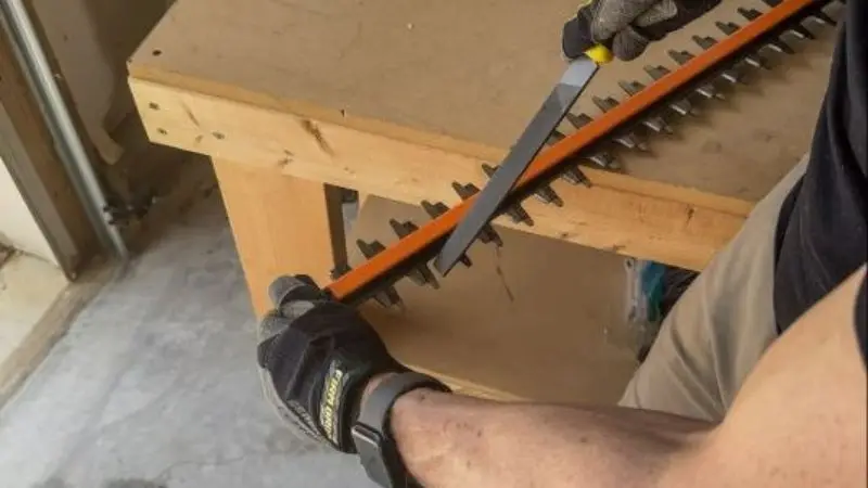 post-sharpening care and maintenance of the hedge trimmer