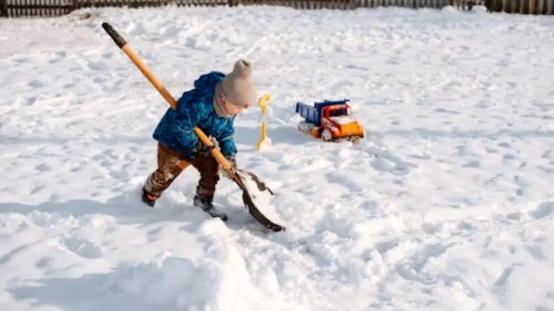 A guide for cleaning snow blower carburator