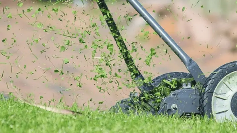 Pros and Cons of Lawn Sweeper