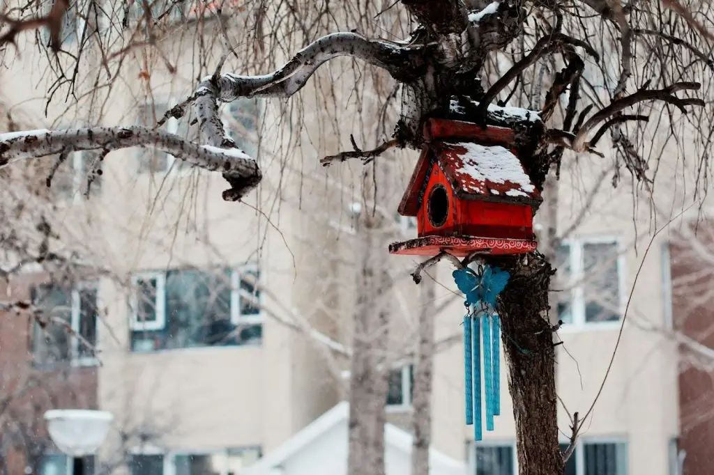 make your birdhouse more attractive