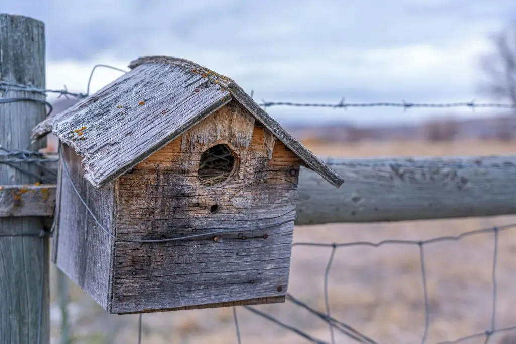 birdhouse in earthy tone