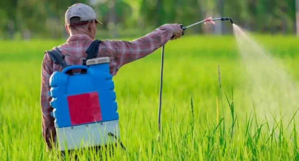 garden sprayer parts