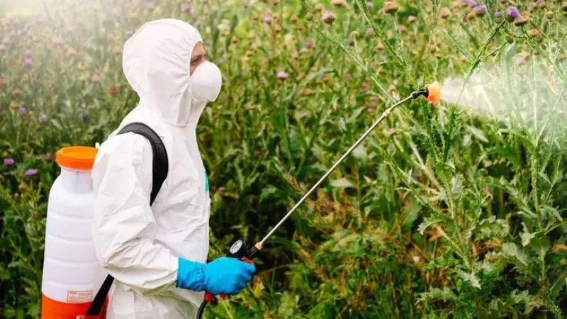 Sprayer for Your Garden
