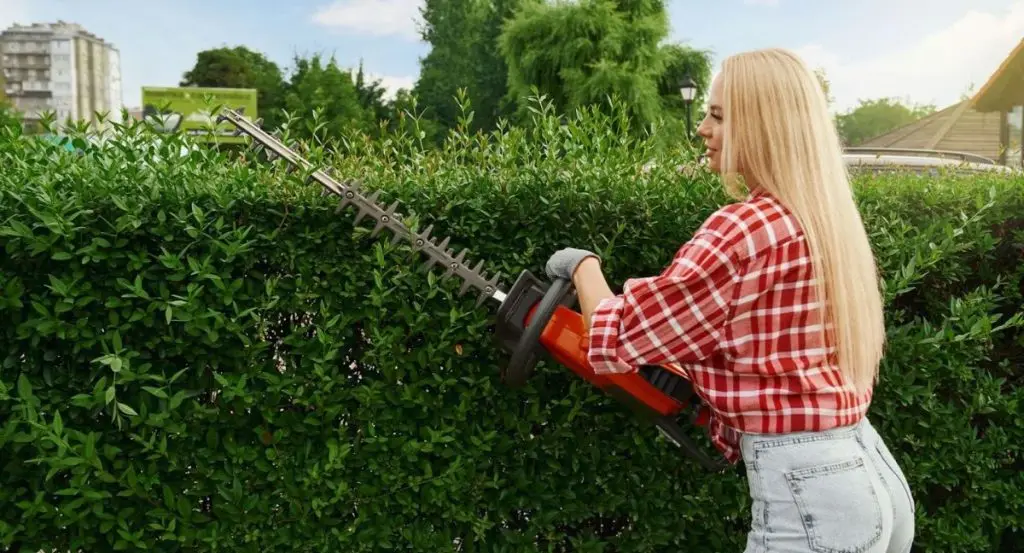 lightweight hedge trimmer