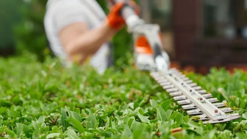 How to choose a hedge trimmer with easy handling