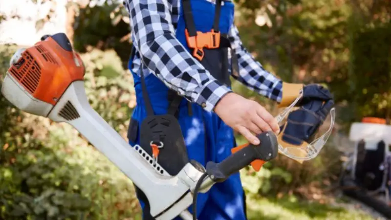 Mistakes to avoid during trimming