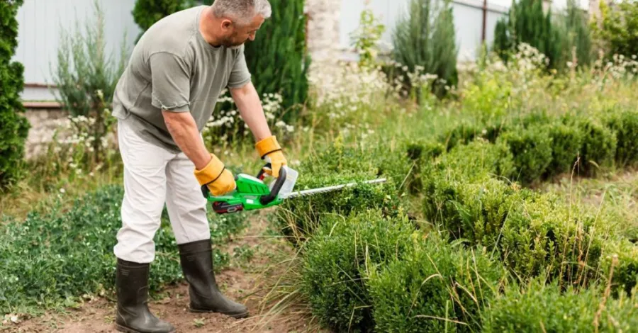bush trimming tools