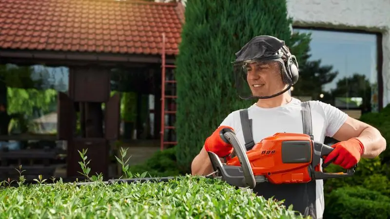 Best Bush Trimming Tools 2026