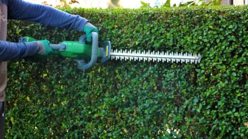 Best hedge trimmers