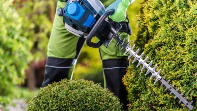 Bush Trimming Tools Matter