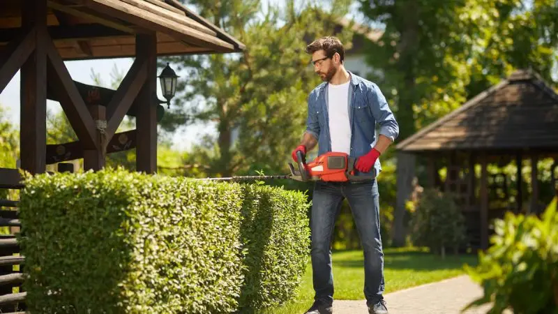 How to choose a bush trimming tool.