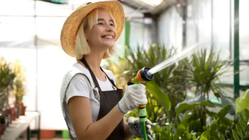 best cleaning solutions for washing windows