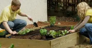 building raised garden beds