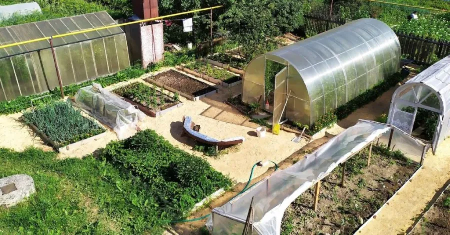 garden bed greenhouse