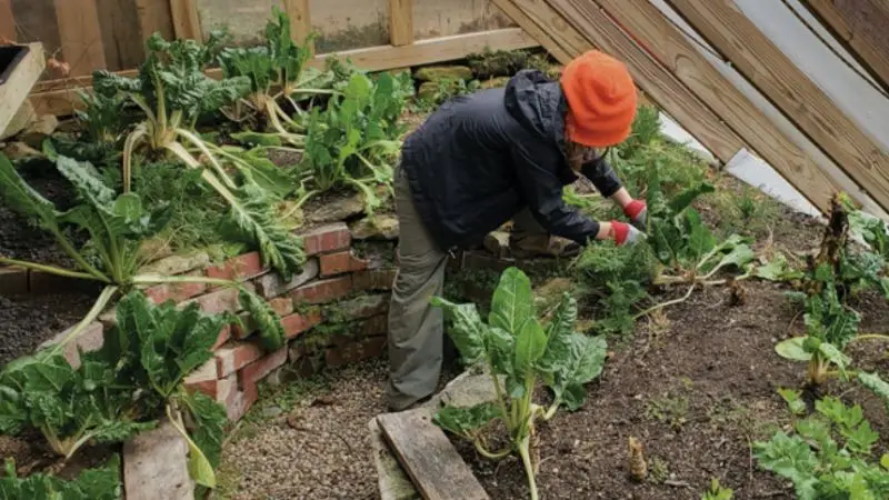 step-by-step guide to building your garden bed greenhouse