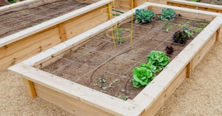 cheap raised garden bed ideas