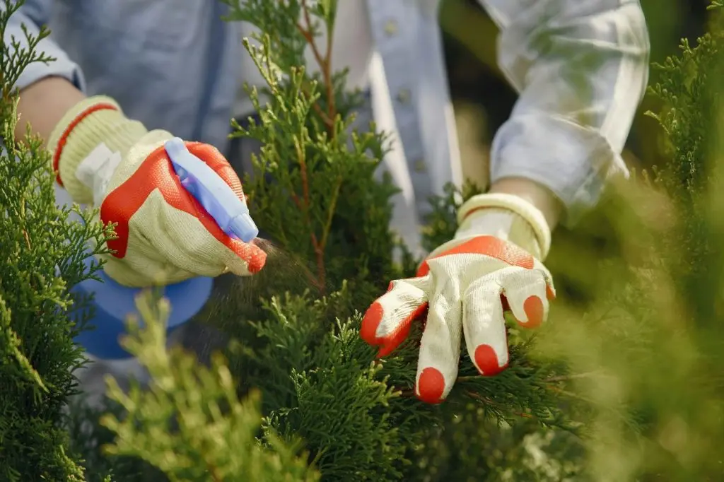Close-up view of a hand adjusting the nozzle on a garden sprayer wand to change spray patterns.