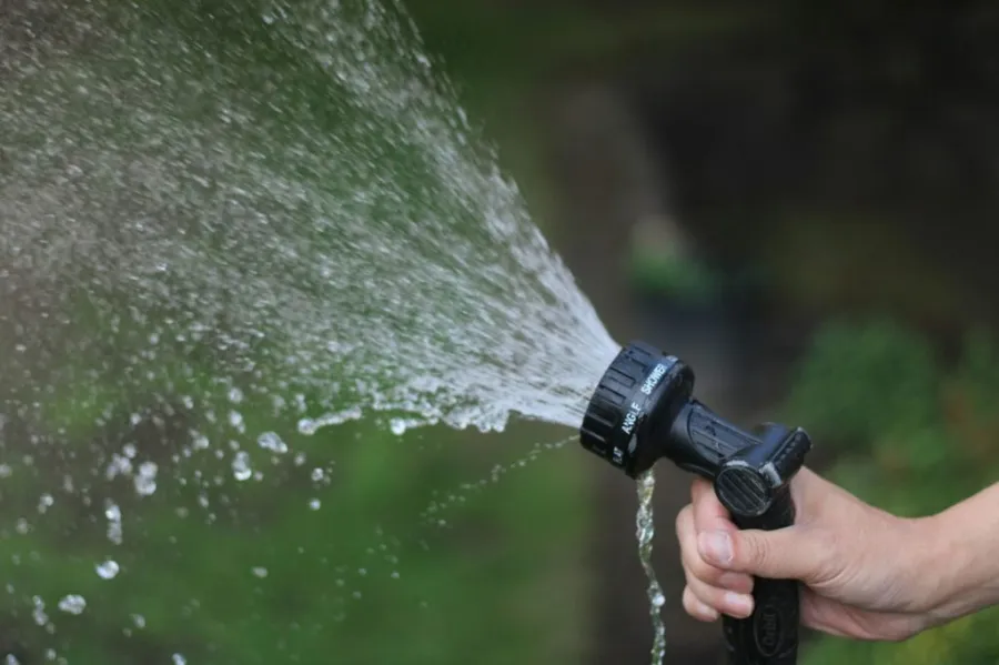 Lawn spray basics every homeowner should know