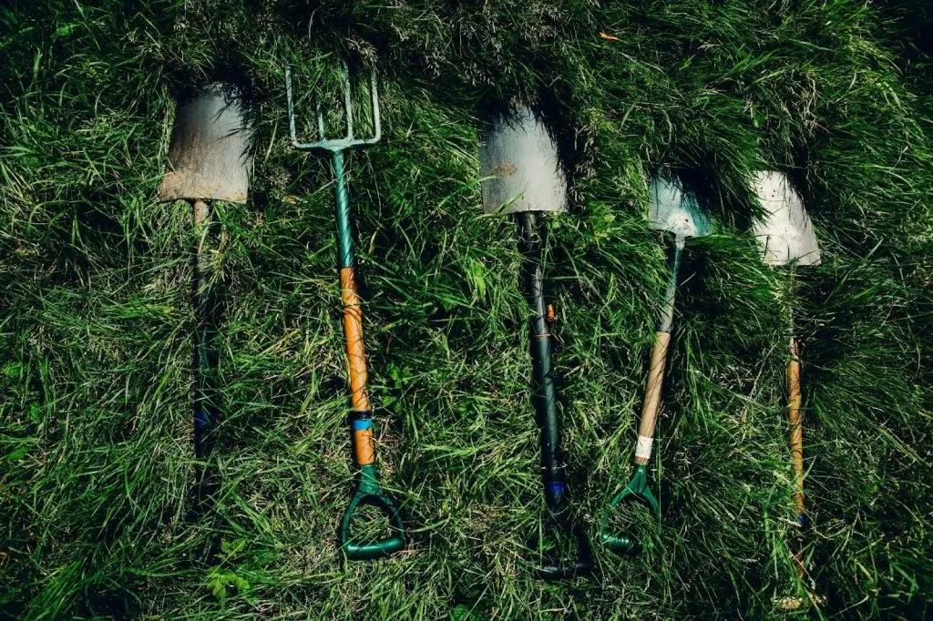 A variety of manual lawn tools, including a rake and shovel, are organized on the grass
