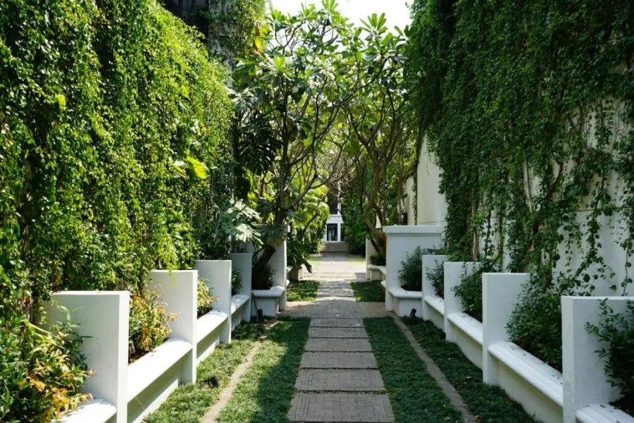 DIY garden pathway design and build tips