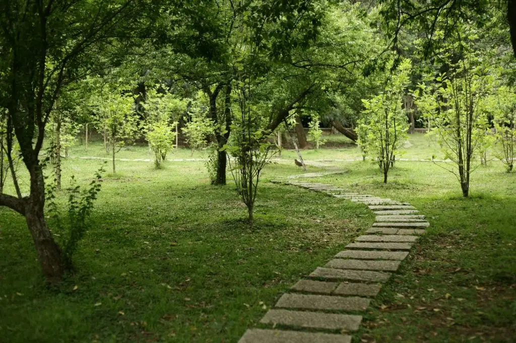 A completed gravel garden path featuring stone borders and lush surrounding greenery.