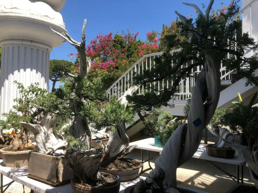 Storm Damage Cleanup